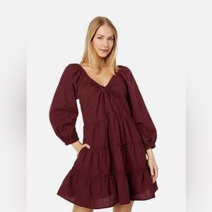 Madewell Teresa Cabernet Long Sleeve Tie Retro Mini Dress